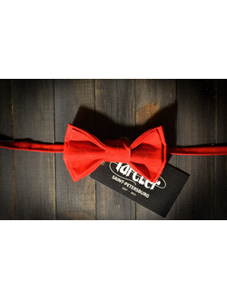 Яркая галстук бабочка в красном цвете