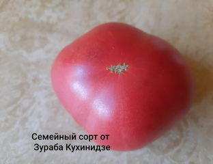 Томат семейный