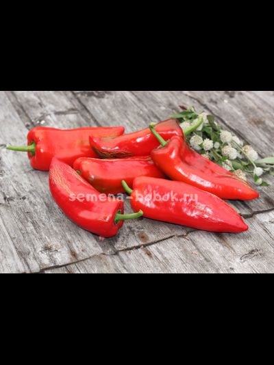 Перец сладкий Sprit Paprica (Сприт Паприка), 10 шт.