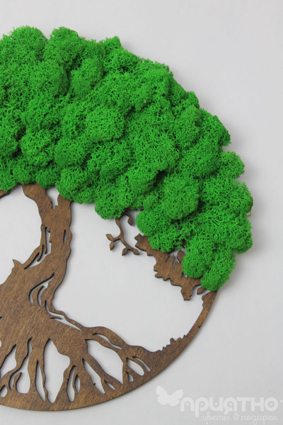 ЖИВАЯ ЭКО-КАРТИНА 1025