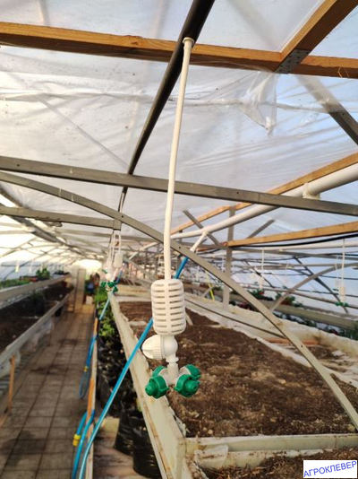 Туманообразователь  4 сопла  26,0 л/ч 2,5 бар разъем 6,0 мм, (зеленый)