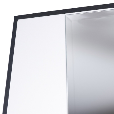 Стальная дверь   Сапсан с зеркалом (биометрический замок Smart lock К06)