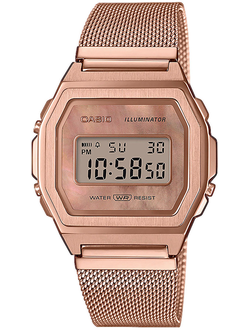 Часы Casio A1000MPG-9EF