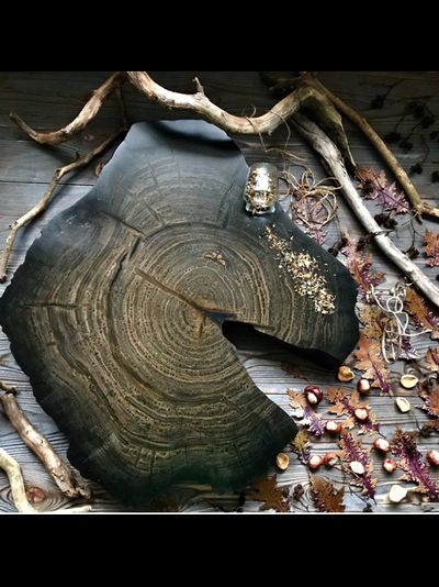 столик из спила мореного дуба