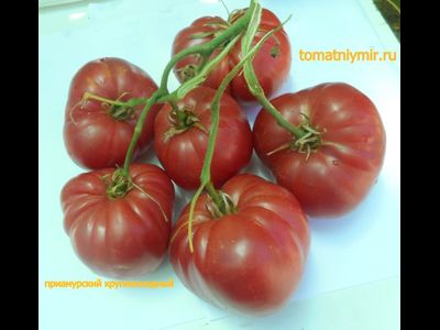 Томат Приамурский крупноплодный
