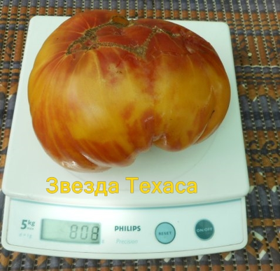 Томат Звезда Техаса (Texas Star)