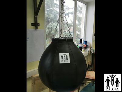 Боксерская груша DNN "Шар". Размер: 50 х 50 см Вес: 40 кг