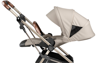 Коляска прогулочная Peg Perego Vivace Astral New