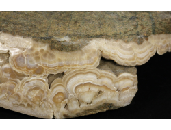 Арагонит, почковидные агрегаты, полировка, Россия, КЧР, Урупский район (94*47*34 мм, 194 г) №37751