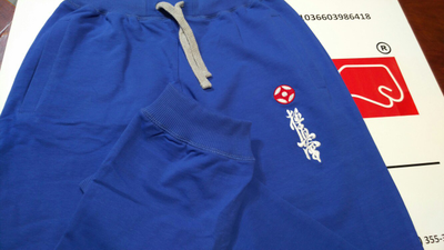 Облегченные трикотажные брюки с вышивкой (модификация 1)