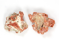 Коралл природный в ассортименте, Индонезия (30-35 мм, 6-7 г) №27529