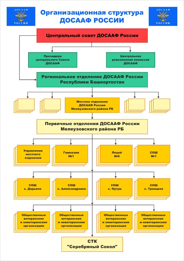 Учредительные досааф россии. Структура автошколы досааф. Структура функции и направления деятельности досааф. Досааф россии деятельность. Структура функции и направления деятельности досааф.