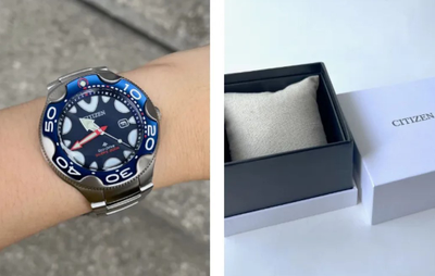 Наручные часы Citizen BN0231-52L