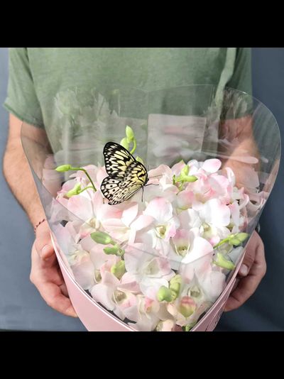 Нежный букет с орхидеями и бабочкой №114
