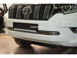 Решетка передняя d16 для Toyota Land Cruiser Prado 150 (2017-...)