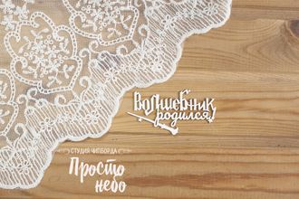 Волшебник родился