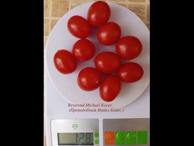 Томат Преподобный Майкл Кейес (Reverend Michael Keyes)
