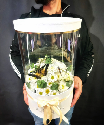 Белая хризантема №73