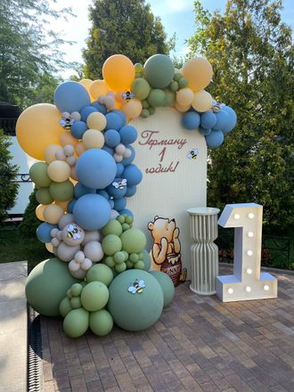 ФОТОЗОНА ИЗ ШАРОВ "ВИННИ ПУХ"