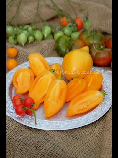 Томат Orange Walk (Оранжевая Прогулка), 10 шт