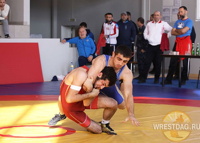 скфо владикавказ греко римская борьба. первенство скфо по греко римской борьбе. скфо вольная борьба 2022. чемпион европы по греко римской борьбе. греко римская борьба чемпионы.