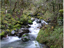 Купить греющую картину с фото лесной ручей