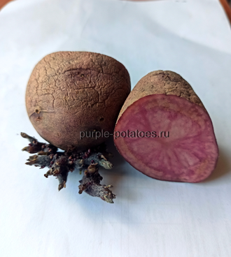Картофель Две Розы