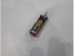 Глазок красный Муравей