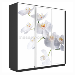 ЕН082 Шкаф-купе Трио-Фото (Белая орхидея) 1800*450*2200