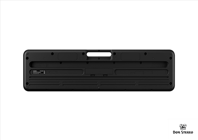 Картинка Casio CT-S100