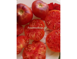 Томат Дорога Скотдейл  (Scotsdale Road)