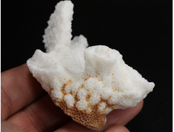 Коралл белый, коллекционный образец, Китай (66*51*30 мм, 42 г) №37699