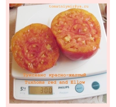 Томат Туксханс красно-жёлтый (Tuxhorn’s Red and Yellow)