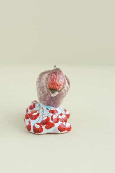 Свиристель - Птицы России