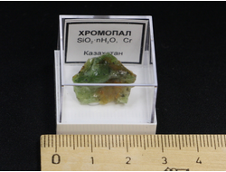 Хромопал в пластиковом боксе, Казахстан №24168