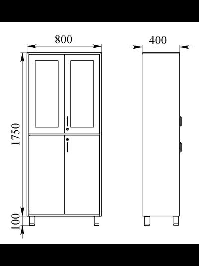 Шкаф медицинский для медикаментов ШММ-2.2.1