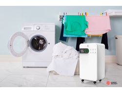 Осушитель воздуха серии PACIFIC Studio RD-PC12-EW