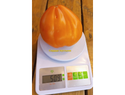 Томат Сердце пустыни