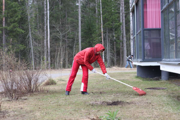Благоустройство газонов