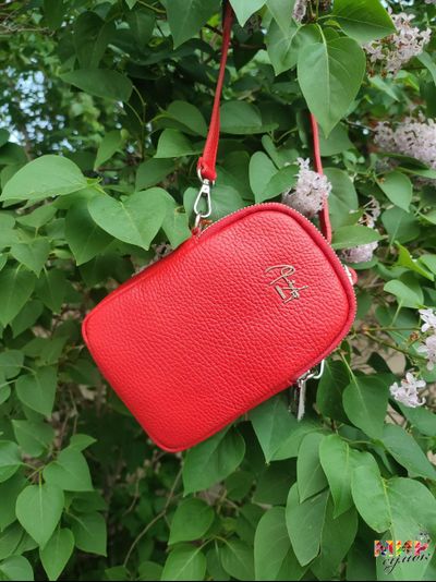 Сумочка для телефона 3050101Renato Angi