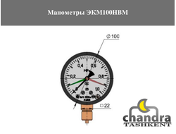 Манометры ЭКМ100НВМ