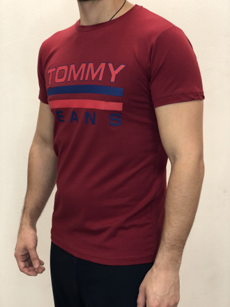 Мужская футболка Tommy Jeans