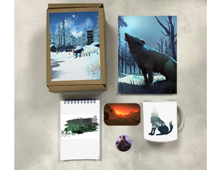 Купить бокс The Long Dark, Лонг Дарк №9 в интернет-магазине Гудбрелок ...