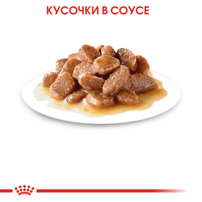 Royal Canin (Роял Канин)  Sterilised Влажный корм (пауч) для стерилизованных кошек, кусочки  в соусе, 85 г