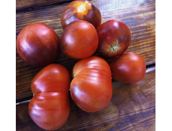 Томат Сержант Пеппер Бронза Груша (Sgt. Pepper Bronze)