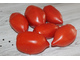 UNCLE STEVE’S ITALIAN PLUM (ИТАЛЬЯНСКАЯ СЛИВА ДЯДИ СТИВА)