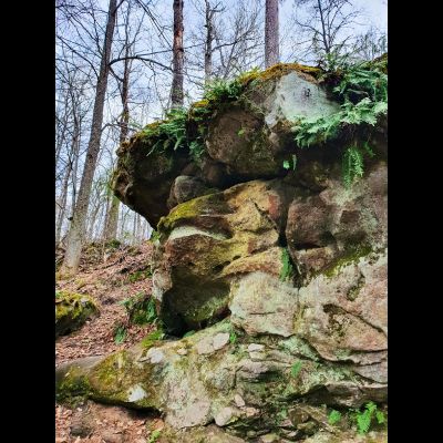 Экскурсия "Тайны Чертова городища"