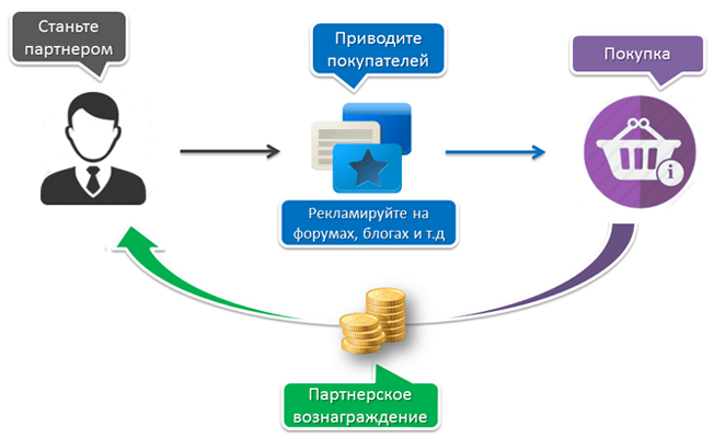 Партнерская программа спортивно аналитического центра Александра Ефремова