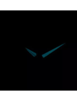 Наручные часы Citizen AP1050-81E