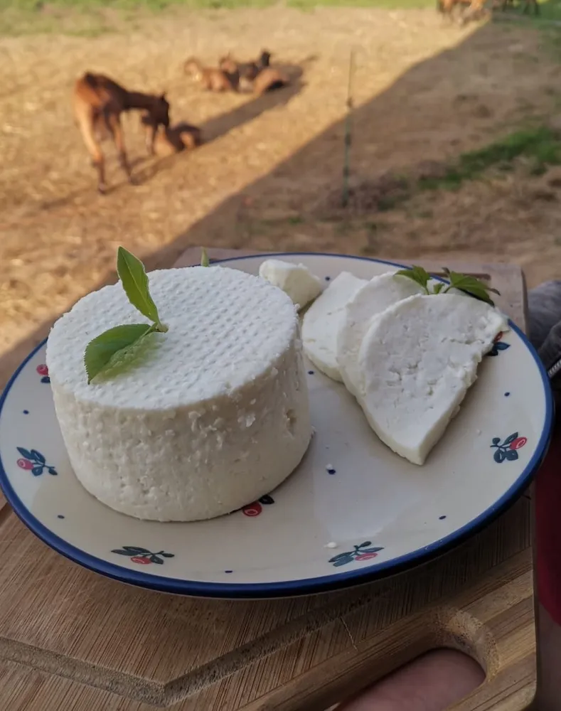 Мягкий козий сыр